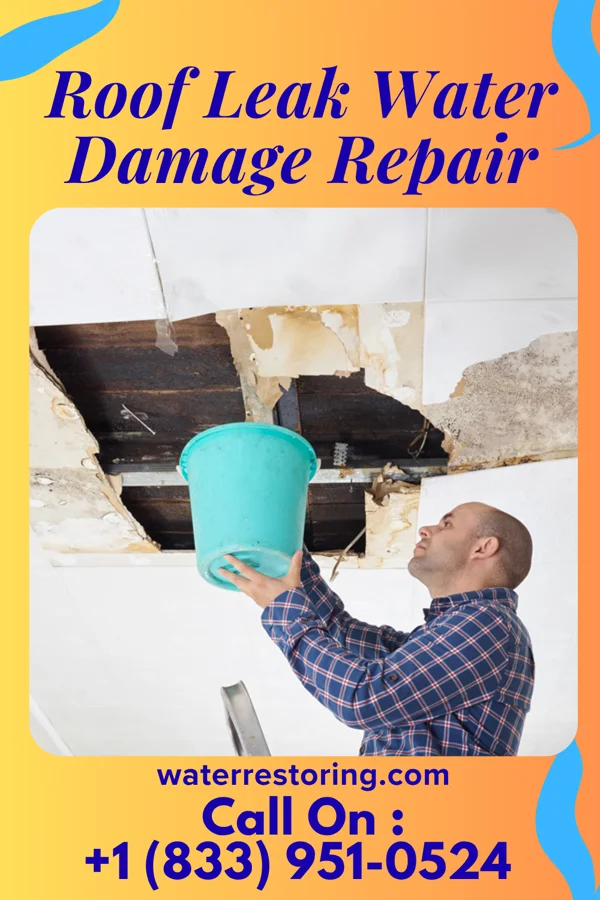 Roof Leak Water Damage Repair in Walnut, IA